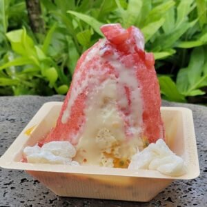 Chipmunk On The Hunt - Traditional Hawaiian shaved ice dessert