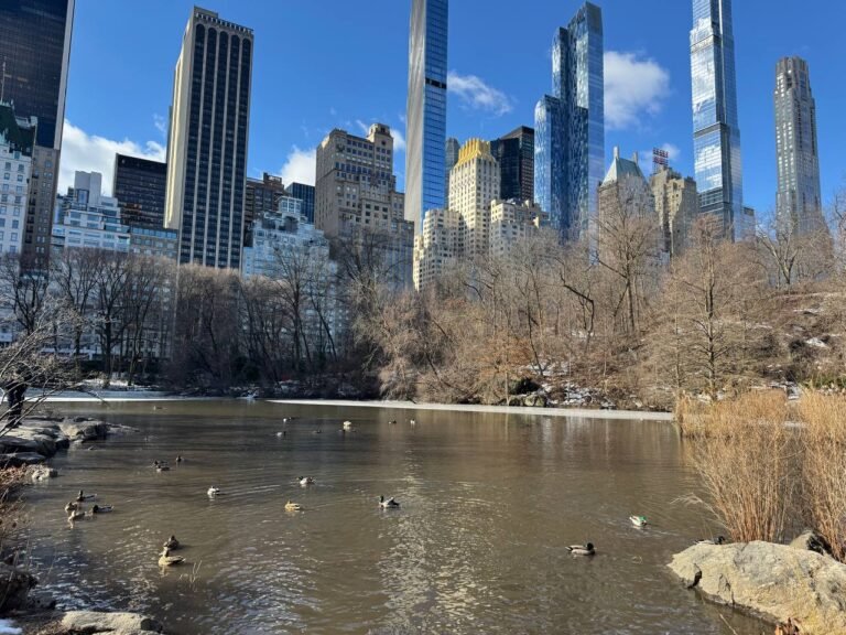 Morning walk in Central Park during daily wellness routine